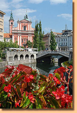 Culinary Tour Sovenia- Delicious Expeditions