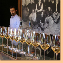 Delicious expeditions, Italy